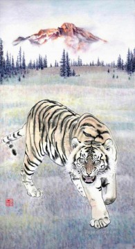 tiger 1 Oil Paintings